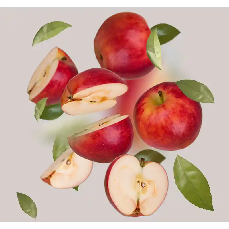 apfelsäure apfelsäure