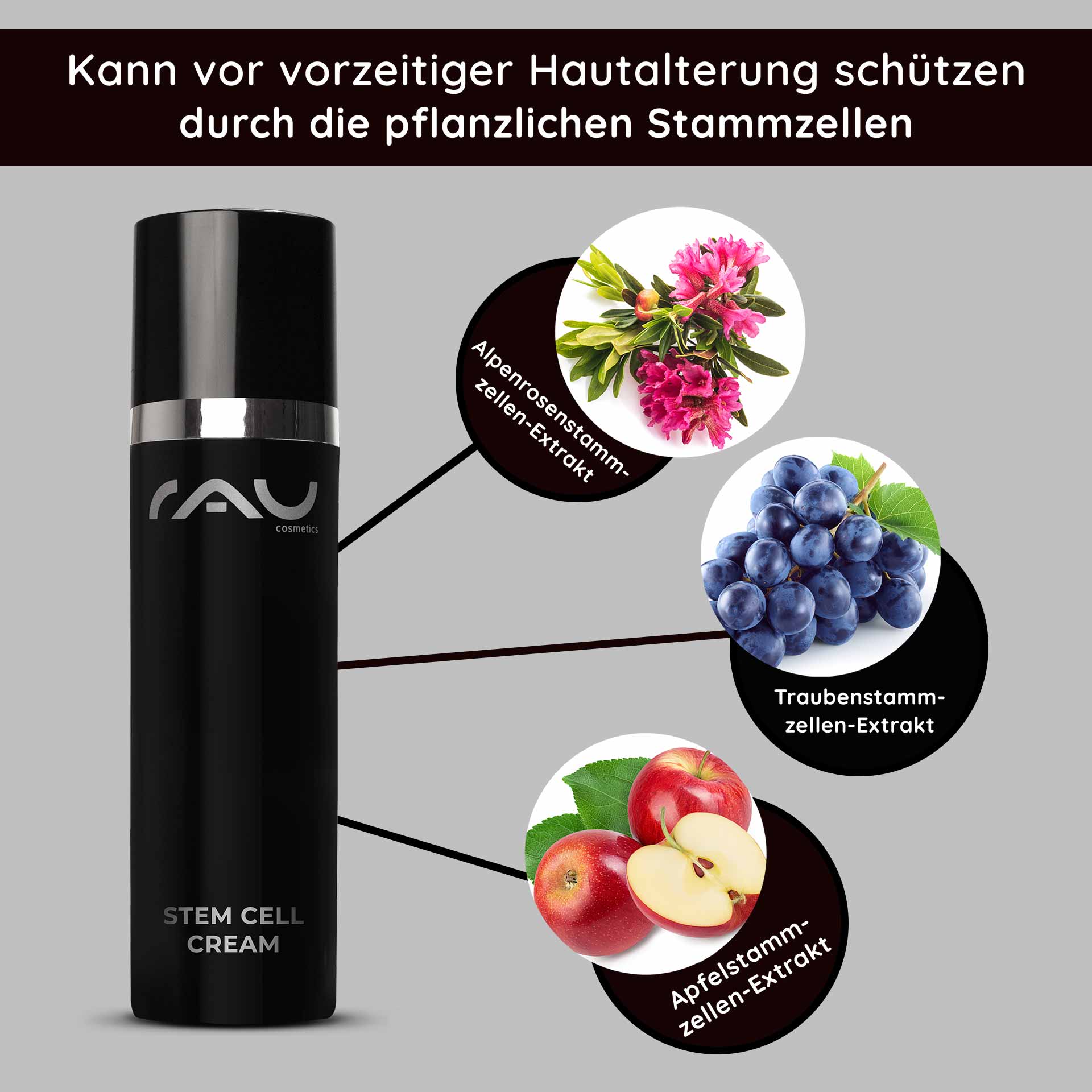 Stem Cell Cream 50 ml Stammzellen Anti Aging Creme für trockene reife Haut Flasche der RAU Cosmetics Stem Cell Cream mit Text, der die Vorteile von Pflanzenstammzellenextrakten, einschließlich Apfel-, Trauben- und Alpenrosenstammzellen, für die Anti-Aging-Hautpflege hervorhebt.
