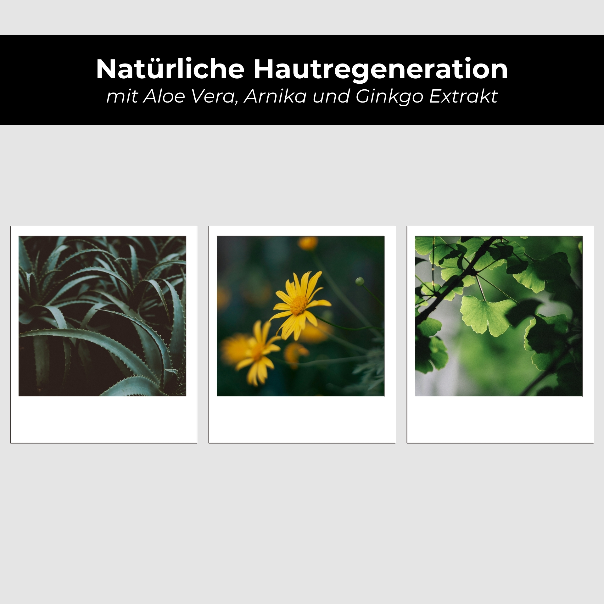 O2 Mask 50 ml Maske mit Aloe Vera, Arnika und Ginkgo Gänseblümchen, Blatt, Kräuter, Blütenblatt, Collage