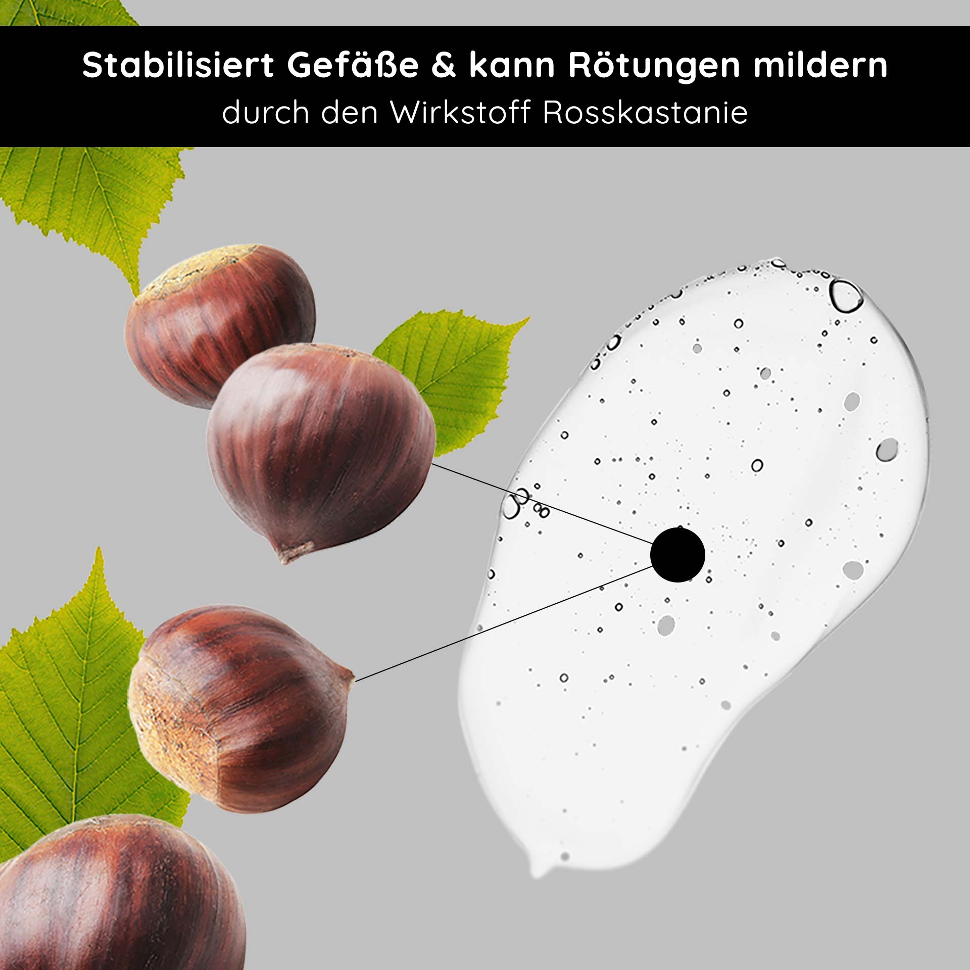 Anti Redness Couperose Serum 200 ml bei Rosacea Anti-Redness Couperose Serum mit Rosskastanienextrakt, stabilisiert die Gefäße und reduziert Rötungen, mit sichtbaren Kastanien und grünen Blättern vor neutralem Hintergrund.