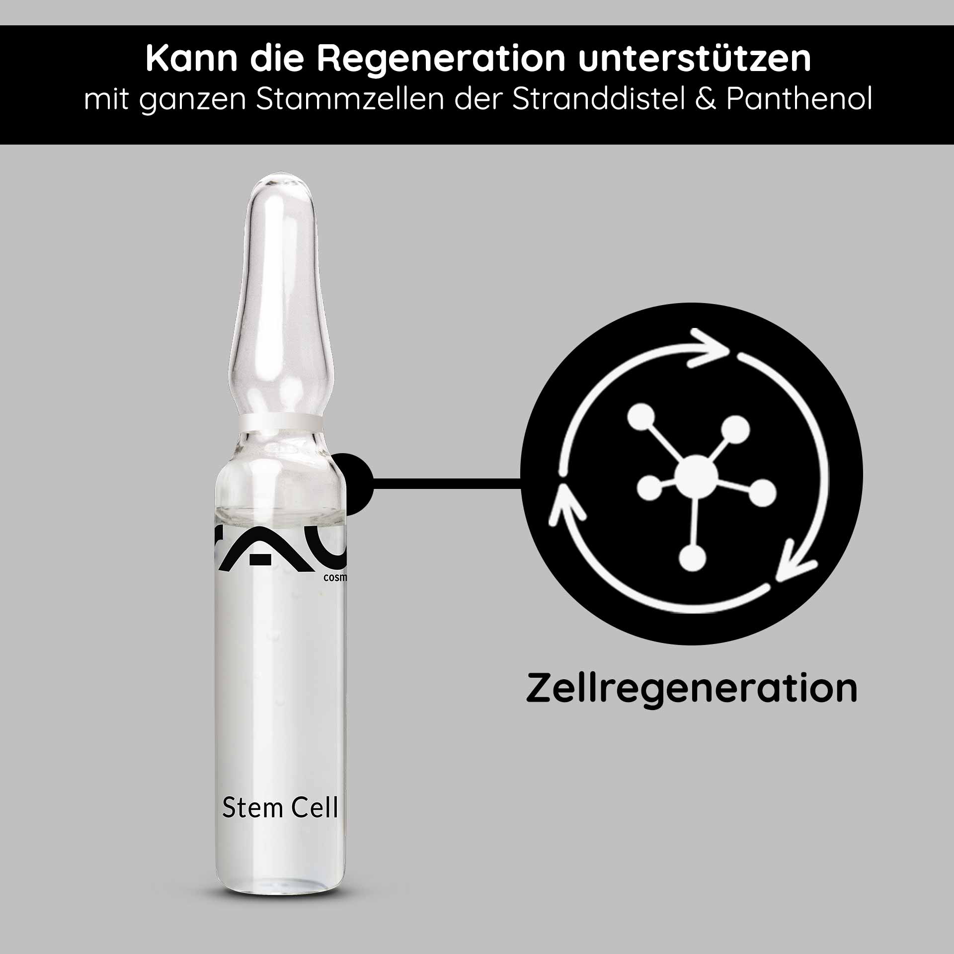 Stem Cell Ampullen 10x2 ml Anti Aging für reife Haut Ampulle mit RAU Stem Cell Serum, transparent, beschriftet mit "Stem Cell", unterstützt Zellregeneration, enthält ganze Stammzellen der Stranddistel und Panthenol, auf grauem Hintergrund.