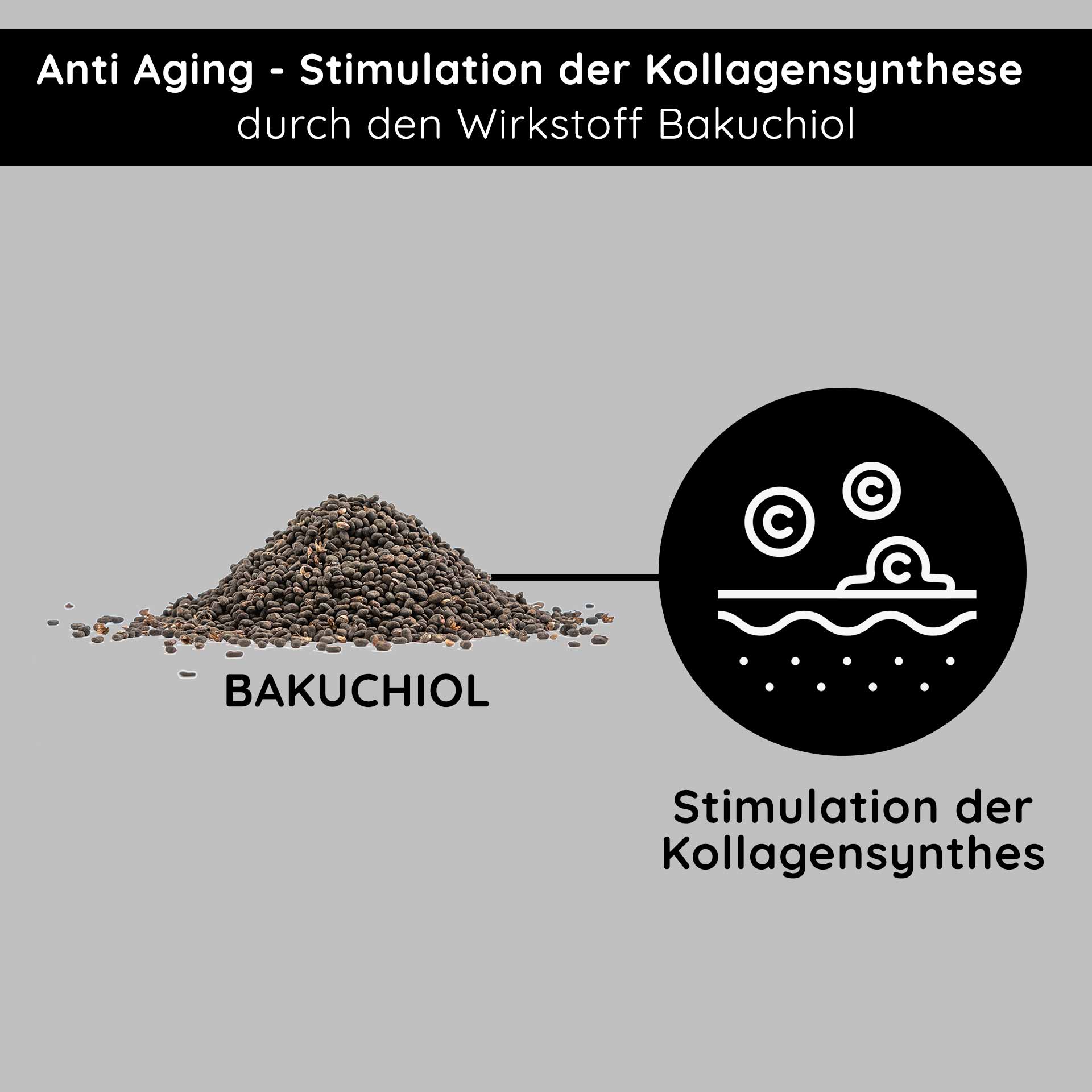 Resist aging! Rich Cream with Bakuchiol 50 ml Nachtcreme