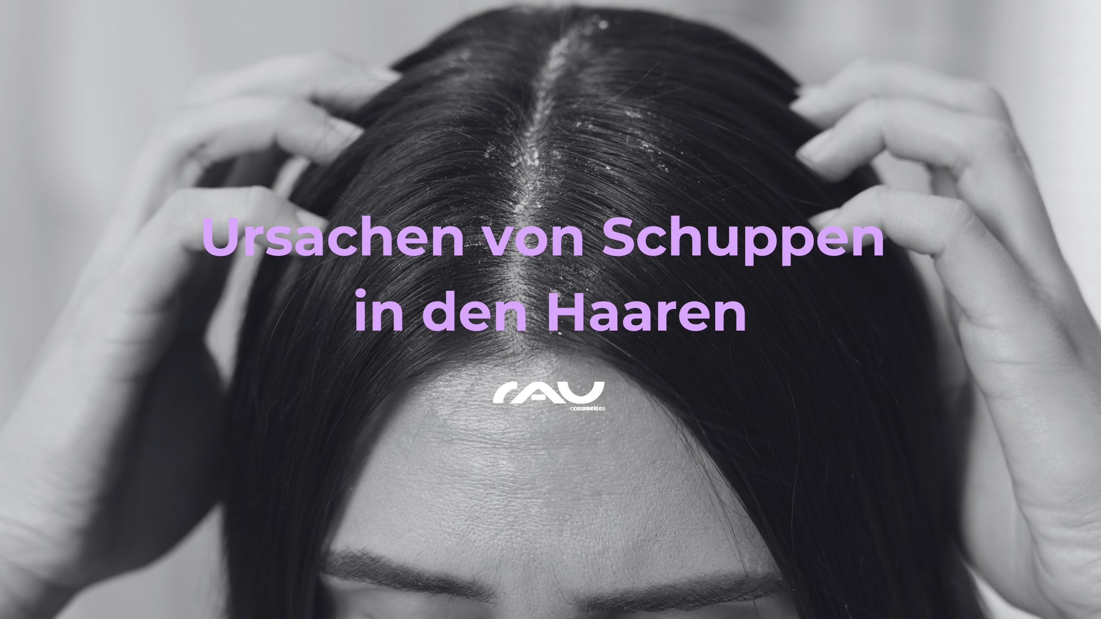 Kopf, Person, Gesicht, Photographie, Portrait