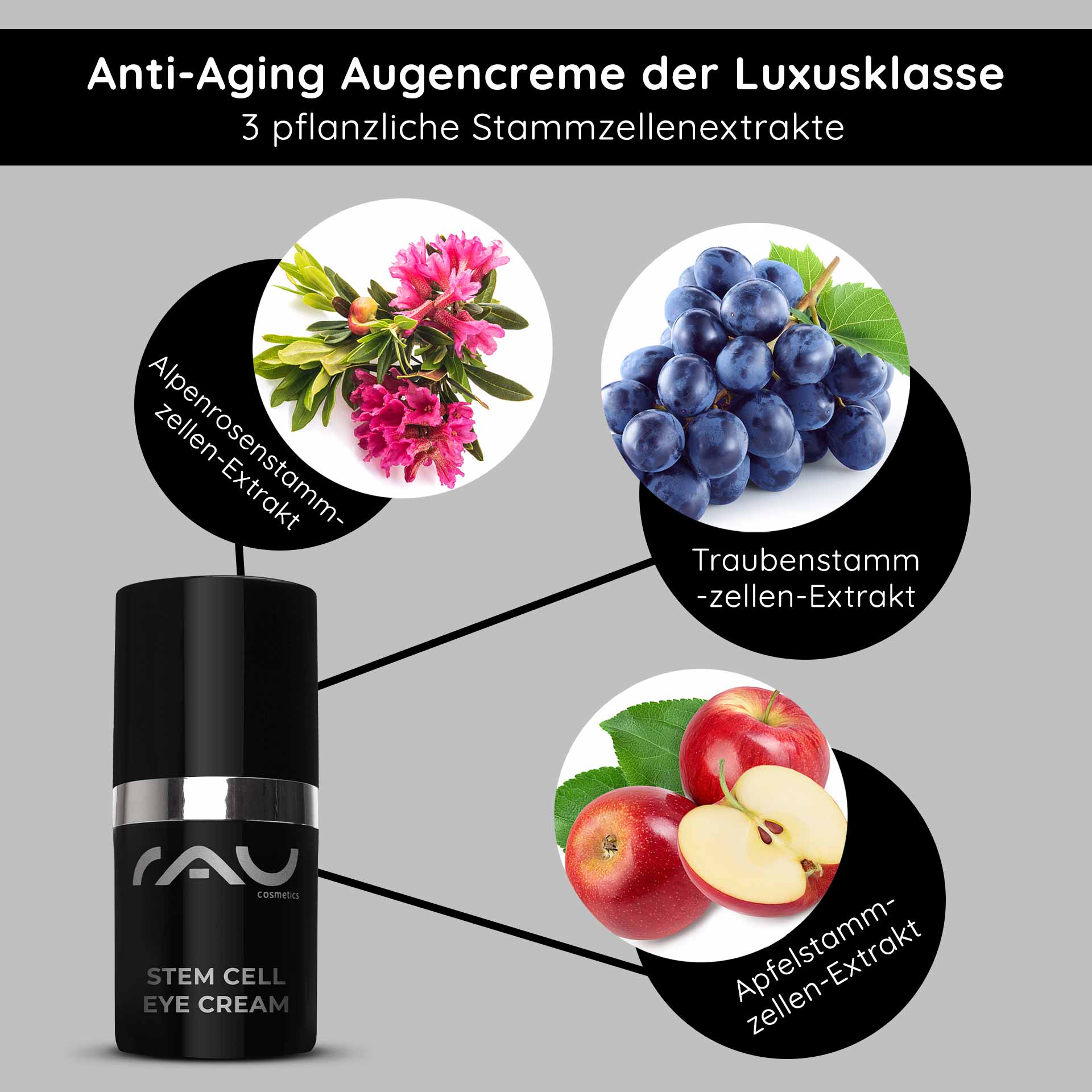 Stem Cell Eye Cream 15 ml Anti Aging Augencreme Anti-Aging Augencreme von RAU Cosmetics mit pflanzlichen Stammzellenextrakten aus Alpenrose, Traube und Apfel, präsentiert in eleganter Verpackung.